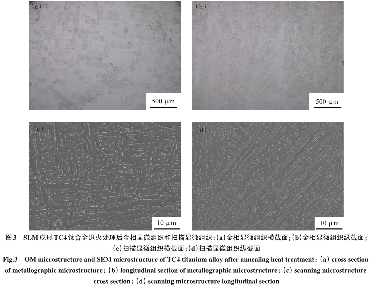 1704850782817214.jpg t3.jpg