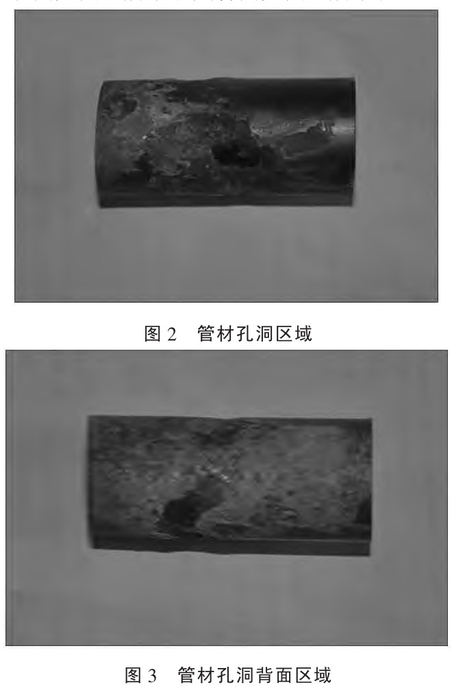 1727335503679655.jpg t2-3.jpg