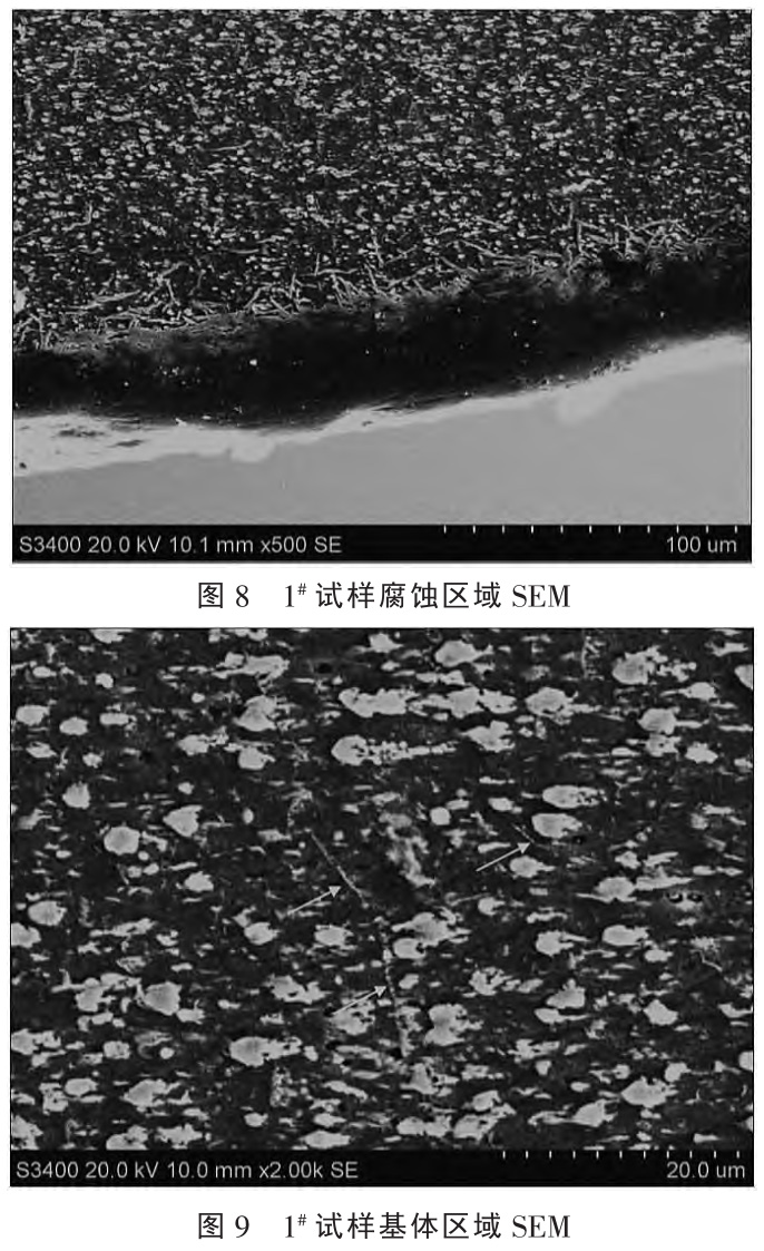 1727335532751464.jpg 8-9.jpg