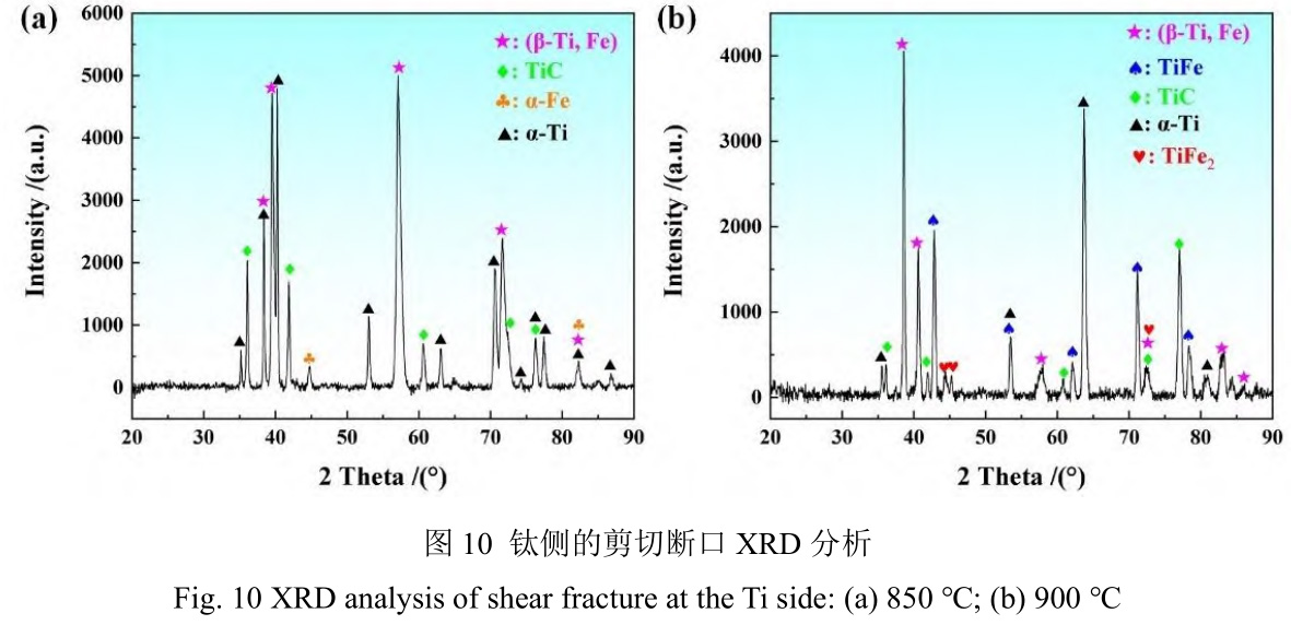 1728563892431937.jpg t10.jpg