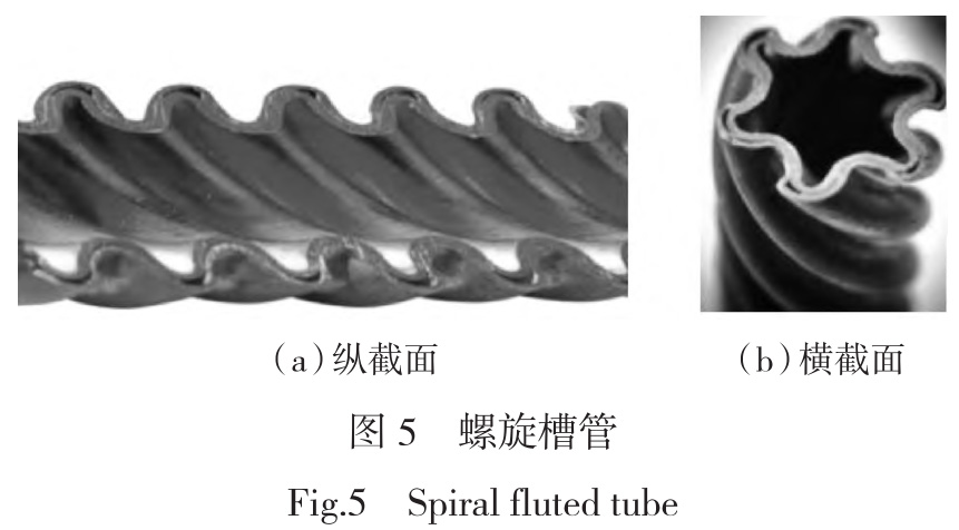 1728696570557209.jpg 5.jpg